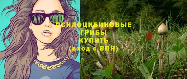 ALPHA PVP Горнозаводск