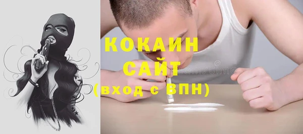 ALPHA PVP Горнозаводск
