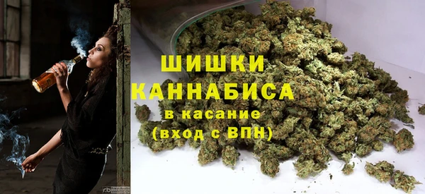 ALPHA PVP Горнозаводск