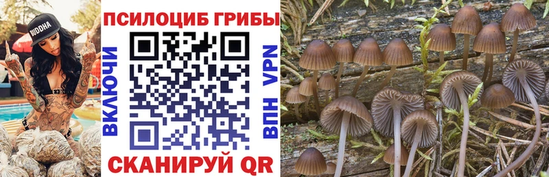 Псилоцибиновые грибы Cubensis  Первомайск 